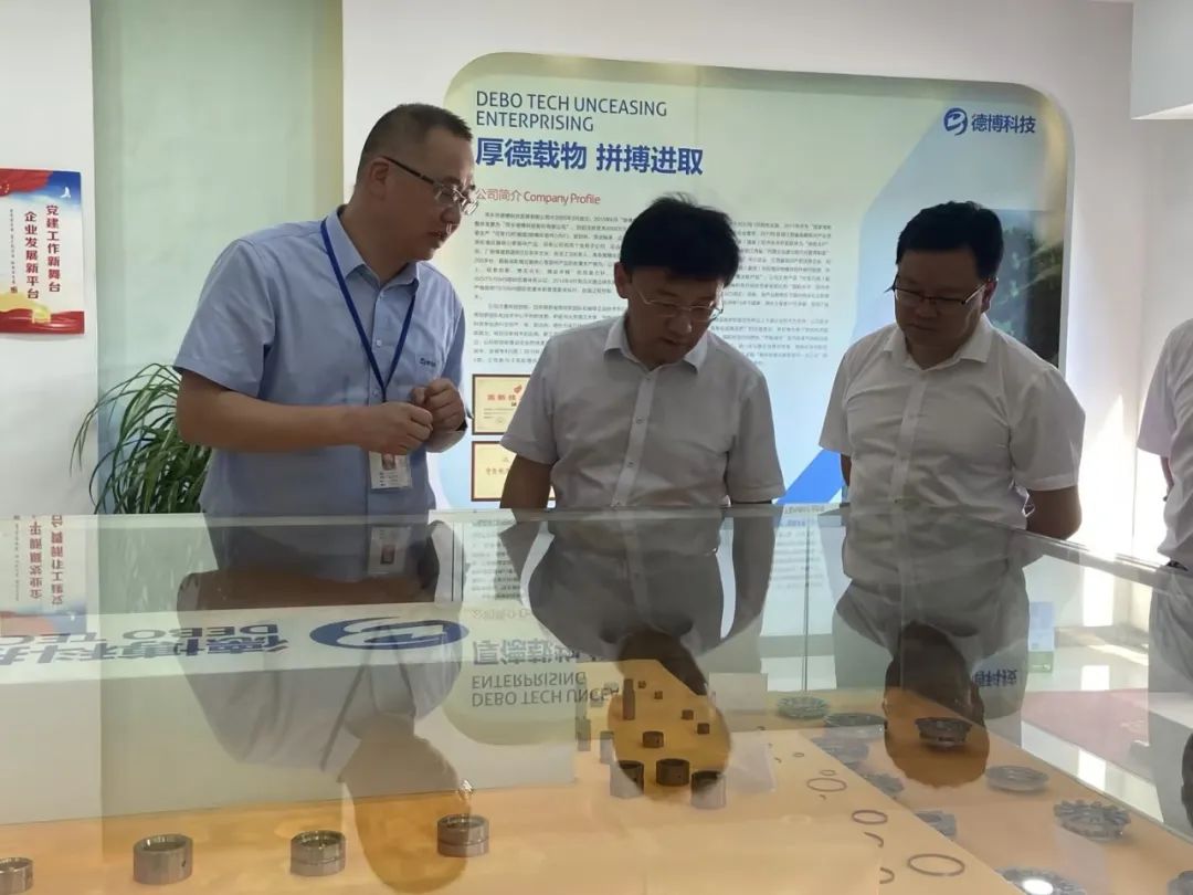 江西省政協(xié)副秘書長、農(nóng)工黨省委會專職副主委、景德鎮(zhèn)市政協(xié)副主席林凱臨公司考察指導